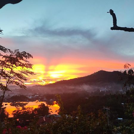 Purple Homestay Hillside Busuanga Eksteriør billede