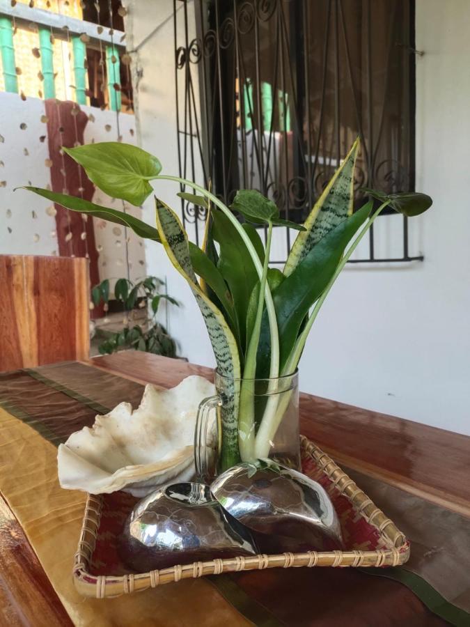 Purple Homestay Hillside Busuanga Eksteriør billede